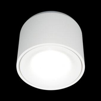Накладной светильник LOFT IT 10219 White 4000K