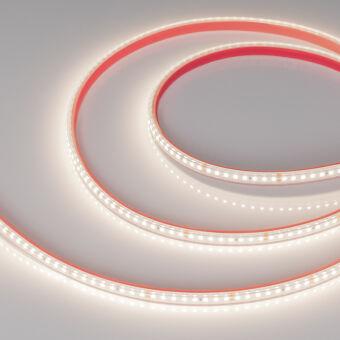 Лента Arlight 024558(2)