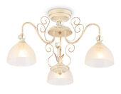 Накладной светильник Ambrella Light TR3055