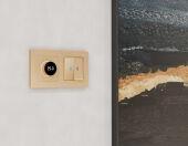  Ambrella Volt MA605810