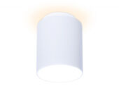 Накладной светильник Ambrella Light TN260