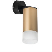 Спот Lightstar RB44031