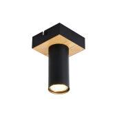 Накладной светильник F-Promo 4431-1C