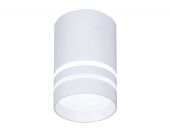 Накладной светильник Ambrella Light TN235