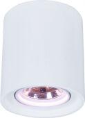 Накладной светильник ARTE Lamp A9262PL-1WH