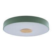 Потолочный детский светильник LOFT IT 10003/24 Green