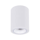 Накладной светильник ARTE Lamp A2267PL-1WH