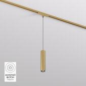 Светильник на шине Denkirs DK5744-SB