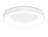 Накладной светильник Ambrella Light FZ1401