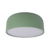 Потолочный детский светильник LOFT IT 10201/350 Green