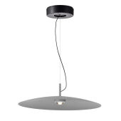 Подвесной светильник Favourite 4412-1P