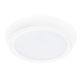 Влагозащищенный светильник Lightstar 216904
