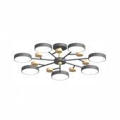Люстра на штанге LED4U L3205-800 GR