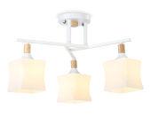 Накладной светильник Ambrella Light TR9488