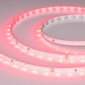 Лента Arlight 055374