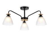 Накладной светильник Ambrella Light TR9564