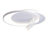 Накладной светильник Ambrella Light FL51391