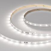 ����� Arlight 037955