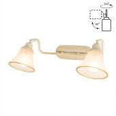 Спот Citilux CL511524