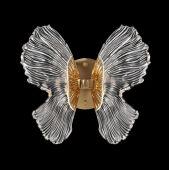 ��� Fluorite FL1103-1W1