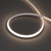 ������ ���� Arlight 041501