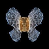 ��� Fluorite FL1103-1W2