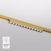 Светильник на шине Denkirs DK5771-SB