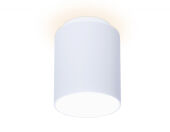 Накладной светильник Ambrella Light TN261