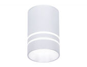 Накладной светильник Ambrella Light TN236