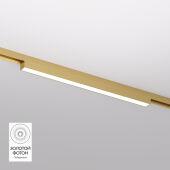 Светильник на шине Denkirs DK5751-SB