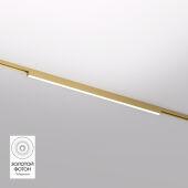 Светильник на шине Denkirs DK5752-SB