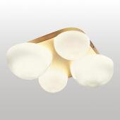 Накладной светильник Lussole LSP-8990