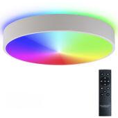 Накладной светильник Natali Kovaltseva LED LAMPS 81105/2C