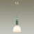 Подвесной светильник Odeon Light 4861/1C