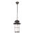 Подвесной уличный светильник LOFT IT 100015P