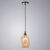Подвесной светильник ARTE Lamp A4344SP-1AB