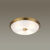 Накладной светильник Odeon Light 4956/4