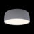 Потолочный детский светильник LOFT IT 10201/350 Grey