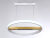 Подвесной светильник Ambrella Light FL51488