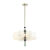 Люстра на штанге Odeon Light 5405/6