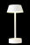 Настольная лампа Crystal Lux SANTA LG1 WHITE