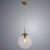 Подвесной светильник ARTE Lamp A1930SP-1AB