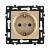 Розетка KOLLINGER AS-014GD