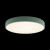 Потолочный детский светильник LOFT IT 10002/24 Green