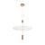 Подвесной светильник LOFT IT 10244/A Brass