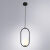 Подвесной светильник ARTE Lamp A7745SP-1BK