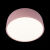 Потолочный детский светильник LOFT IT 10201/350 Pink