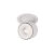 Спот LOFT IT 10325/A White