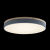 Накладной светильник LOFT IT 10001/36 Grey