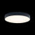 Накладной светильник LOFT IT 10002/24 Black